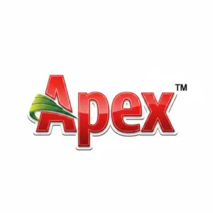 Apex Logo