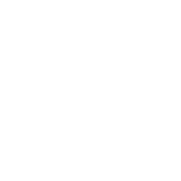 eael-fg-video-play-icon